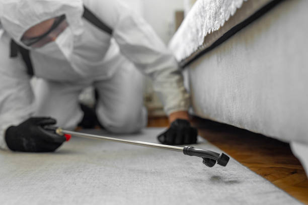 Professional Termite Control technician working in Ashaway, RI