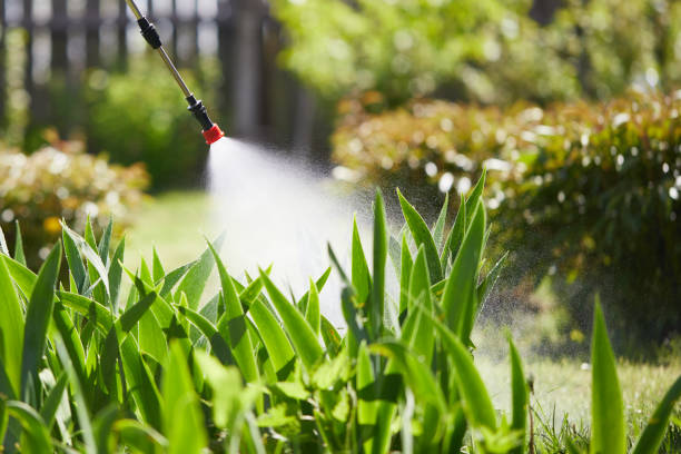 24/7 Emergency Termite Control experts in Ashaway, RI