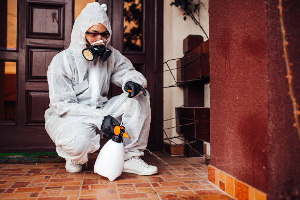 Reliable Termite Control contractor in Ashaway, RI by Nex Pest Control